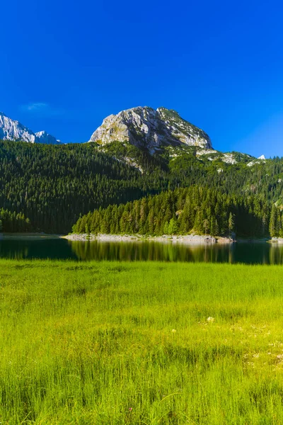 Lac Noir Crno Jezero Durmitor Monténégro Nature Voyage Arrière Plan — Photo