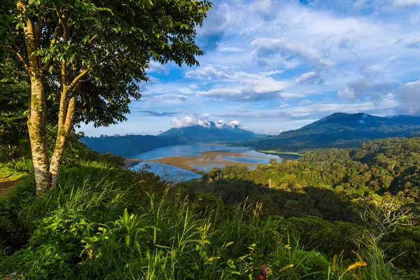 印度尼西亚巴厘岛的Buyan湖 自然旅行背景 — 图库照片