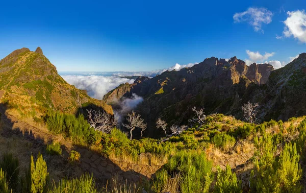 Panorama Pico Ruivo Pico Arierio Madeira Portugal Fundo Viagem — Fotografia de Stock