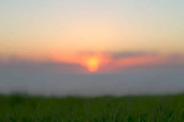 Summer sunset blured bokeh background. — Stock Photo, Image