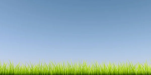 Grünes Gras Hintergrund mit klarem blauen Himmel. — Stockfoto