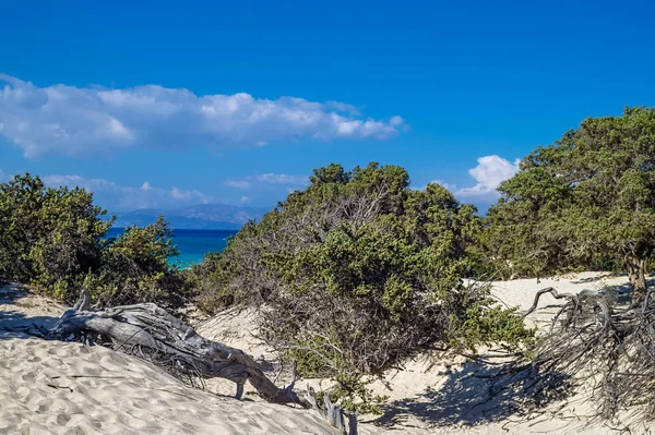 Paysage insulaire de Chrisi (Chrysi), Crète, Grèce . — Photo