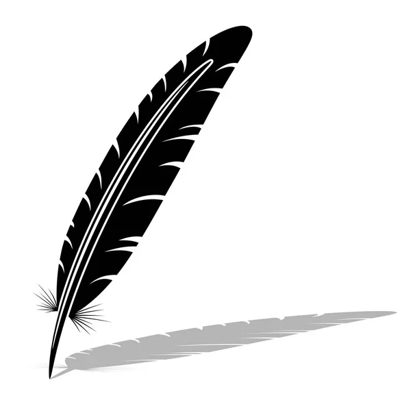 Black and white feather vector silhouet. — Stockvector