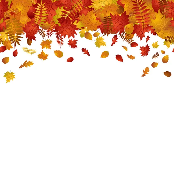 Hulló levelek őszi háttér — Stock Vector