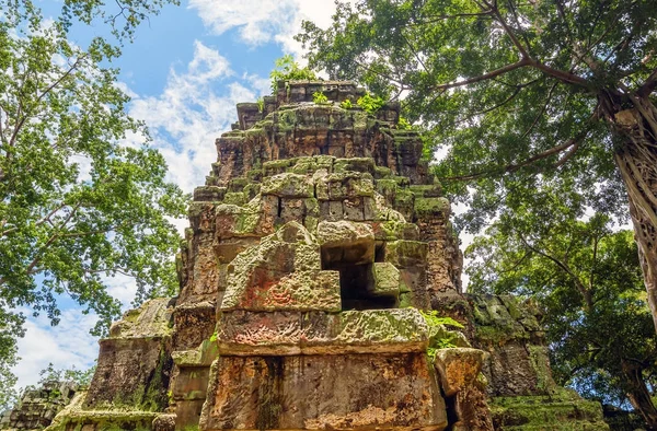Ta Prohm-templet ruin på Angkor — Stockfoto