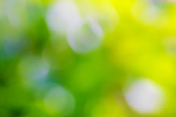 Green and yellow summer bokeh background. — Stock Photo, Image