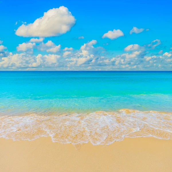 明媚的黄沙沙滩旅游背景. — 图库照片