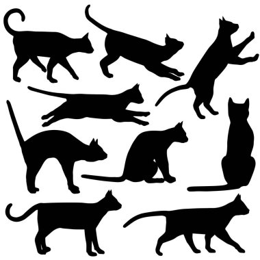 Siyah beyaz kedi siluetleri