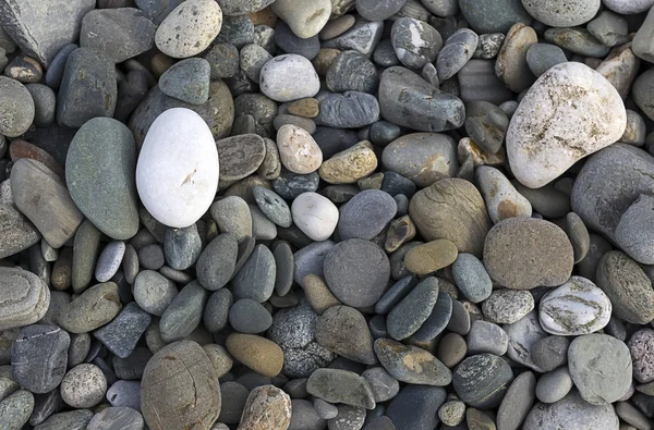 Fundo com diferentes pedras de cor do mar — Fotografia de Stock