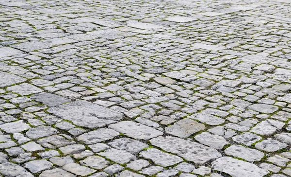 Tekstur lempengan paving — Stok Foto