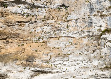 Kaya arka plan. Stone mountain