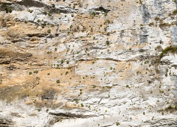 Tło skała. Stone mountain — Zdjęcie stockowe