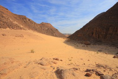 Çöl taş ve kanyon