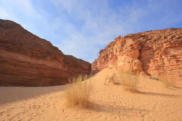 Woestijn steen en canyon — Stockfoto