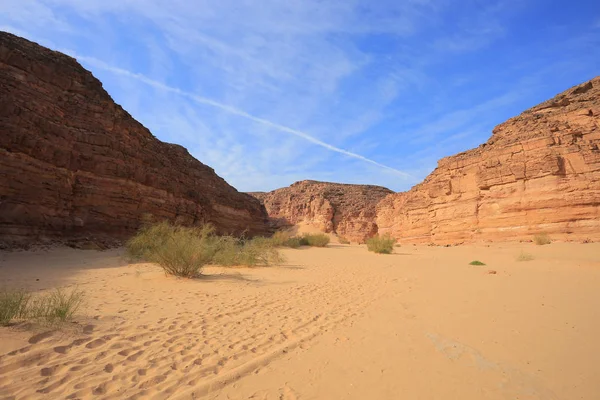 Woestijn steen en canyon — Stockfoto