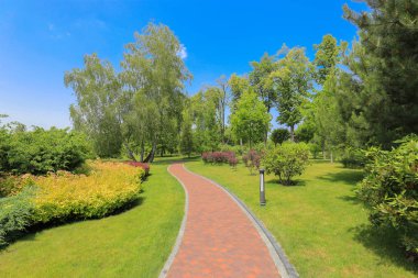 Güzel peyzaj park