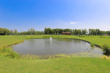 Göllü yaz manzarası