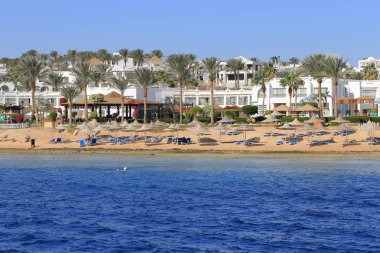 sharm el sheikh Coast