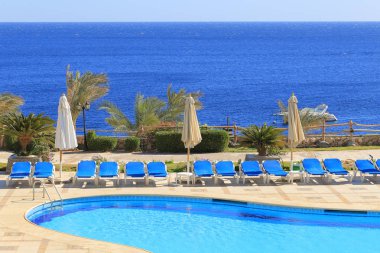 Havuz içinde Sharm El Sheikh 