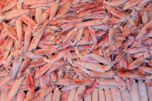 Calamari freschi in vendita — Foto Stock