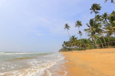 sri Lanka tropikal plaj