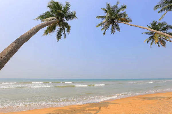 Spiaggia Tropicale Sri Lanka — Foto Stock