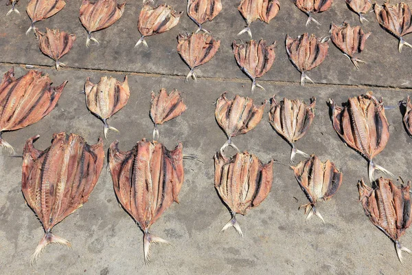 Pescado Seco Para Secar Suelo —  Fotos de Stock