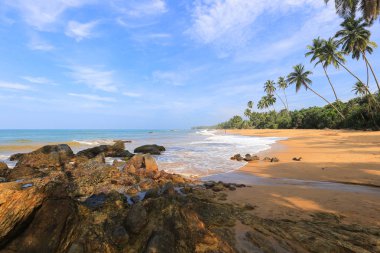 Tropikal okyanus plaj Sri Lanka