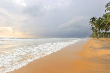 Okyanus plaj Sri Lanka