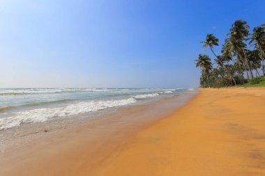 Sri Lanka 'daki güzel okyanus plajı