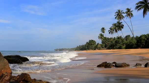 Tropical Ocean Beach Sri Lanka — Stock Video