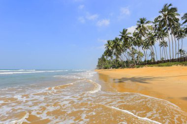 Sri Lanka 'da güneş, kum ve okyanus plajı