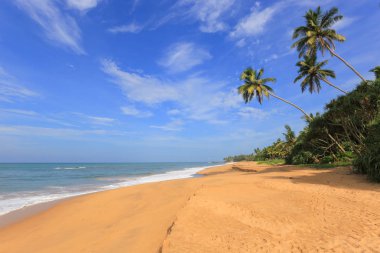 Sri Lanka 'da güneş, kum ve okyanus plajı