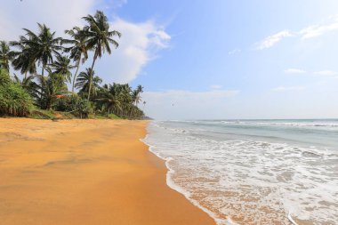Sri Lanka 'da güneş, kum ve okyanus plajı