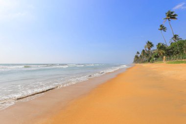 Sri Lanka 'da güneş, kum ve okyanus plajı