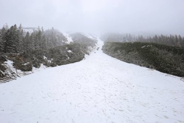 Kışın dağdan aşağı in.