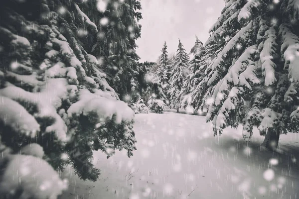 สภาพอากาศหิมะที่สวยงาม — ภาพถ่ายสต็อก
