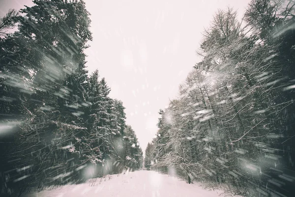 Güzel karlı havalarda — Stok fotoğraf