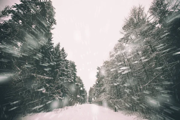 Schönes Schneewetter — Stockfoto