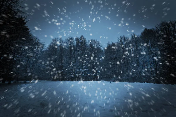 Parque noturno e muito de flocos de neve — Fotografia de Stock