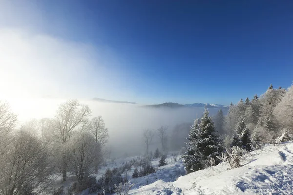 Туманна погода в горах — стокове фото