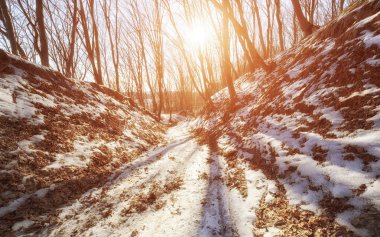 Güzel karlı havalarda