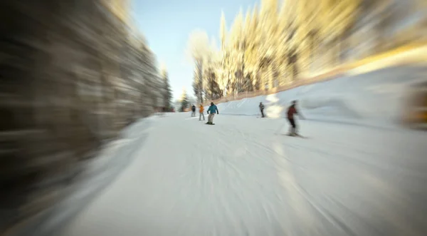 Вид на людей, які катаються на лижах — стокове фото