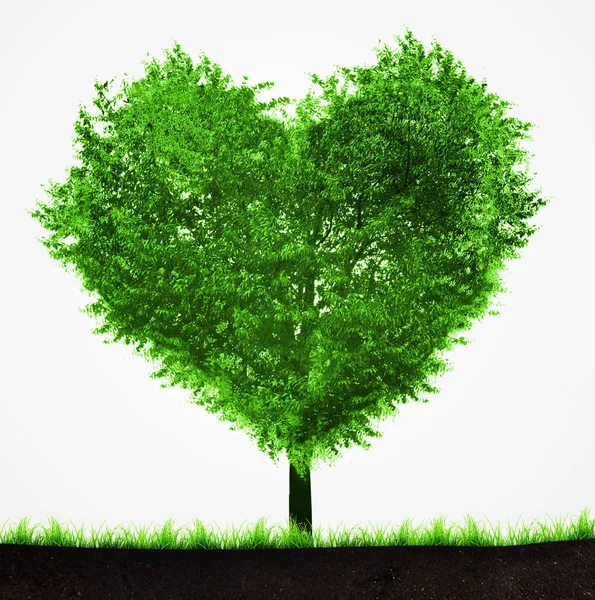 Tree with shape of heart — Stock Photo, Image