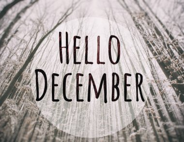 Bulanık kış park arka plan ve metin Merhaba için Aralık'ta