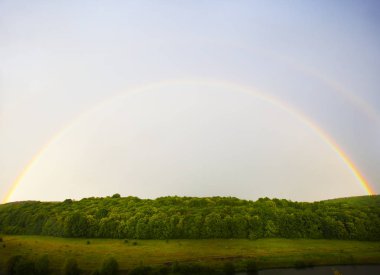 Orman ve alan yukarıda gökkuşağı
