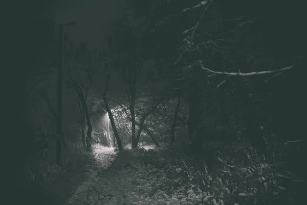Ciemny samotny winter park — Zdjęcie stockowe