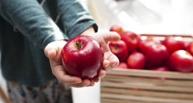 Çocuk uygulamalı kırmızı elmayı sepetten alıyor.