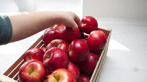 Barnet tar det saftiga röda äpplet från korgen med appen — Stockfoto