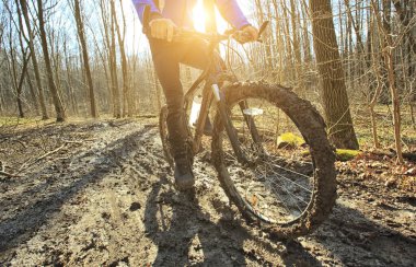 Bisikletçi, baharın başında ormanda toprak yolda dağ bisikletine biniyor. 